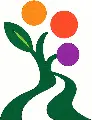 Path to Lifelong Vitality